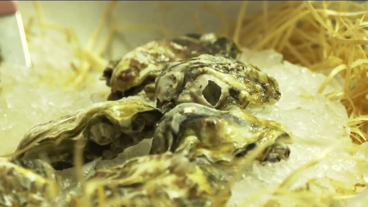 Ostriche, domani apertura dell’Oyster Fest