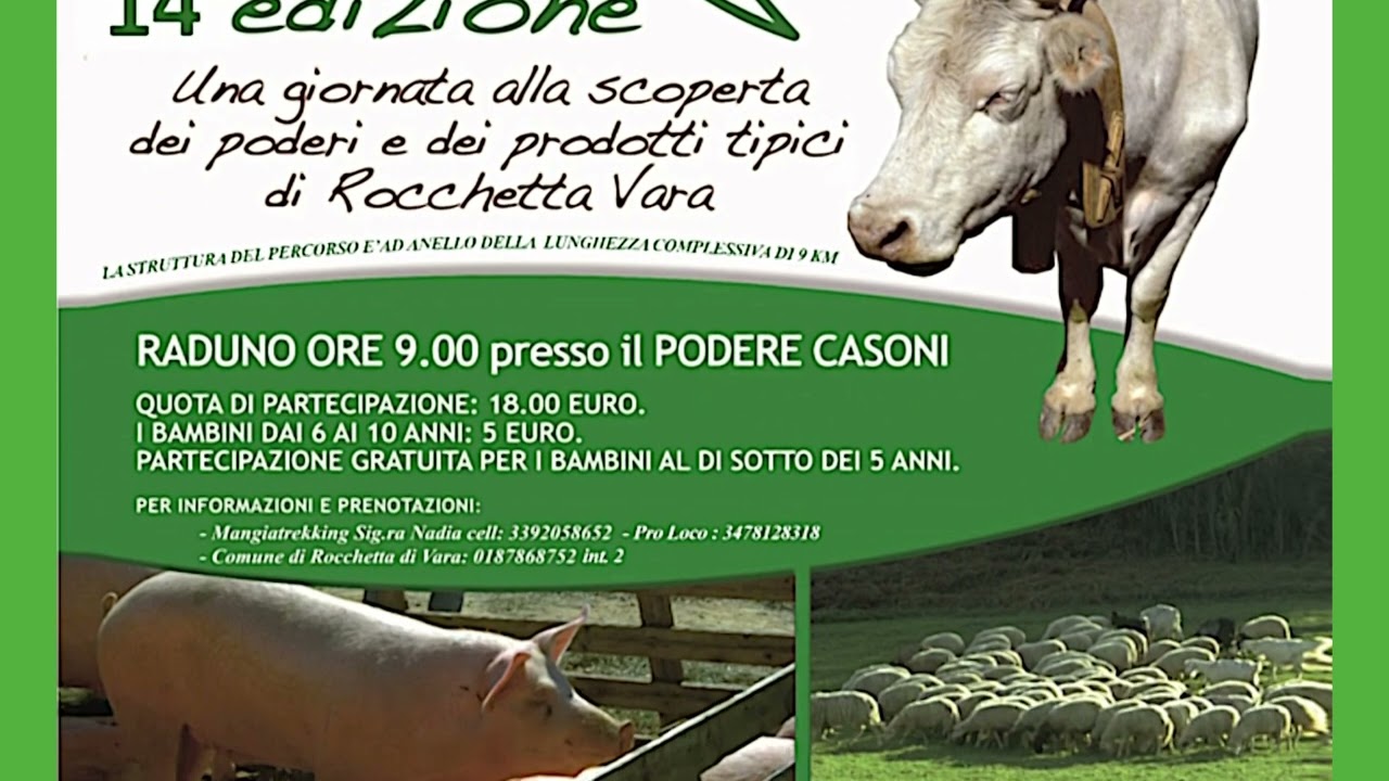 Stalle aperte, domenica l’edizione 2024