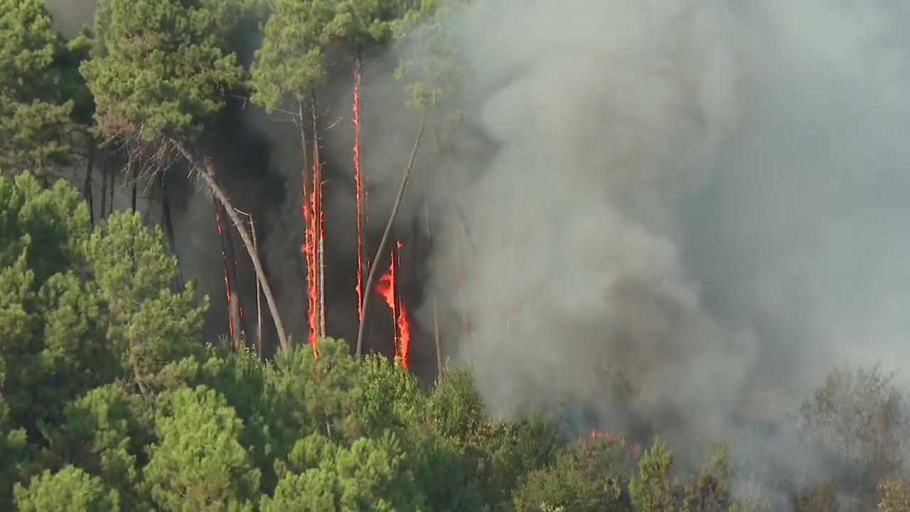 Incendio Pitelli, probabile origine dolosa