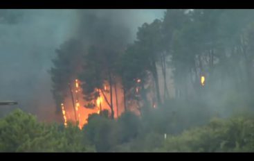 Incendi boschivi, bilancio dell’estate al Parco delle Cinque terre