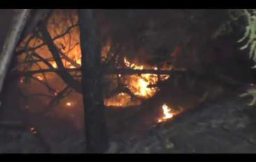 Incendio boschivo in Val Graveglia
