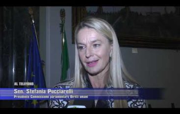 Sea Watch, Pucciarelli non convoca commissione diritti umani